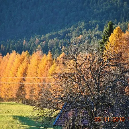 Gasthof Panorama 3* Obsteig