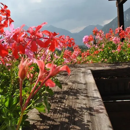 全美景宾馆 招待所 3*