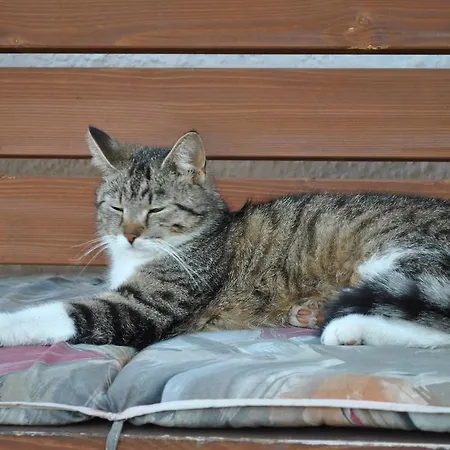 全美景宾馆 奥布施泰希