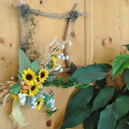 招待所 全美景宾馆 3*