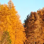 게스트하우스 Panorama